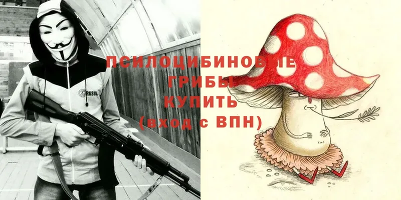 купить  сайты  Серпухов  Псилоцибиновые грибы MAGIC MUSHROOMS 